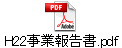 H22事業報告書.pdf